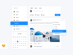 Social Network UI Concept