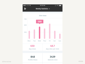 Dribbble Statistics Screen