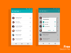 Permission Settings