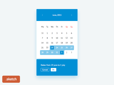 Date Picker Widget