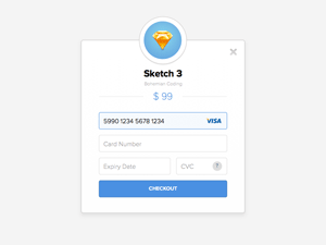 Payment Form