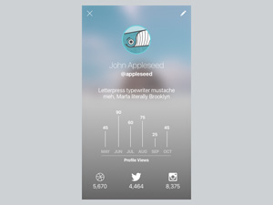 User Profile