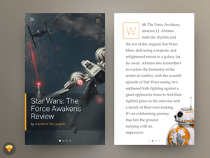 Star Wars Blog Post UI