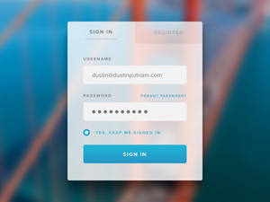 Login Form