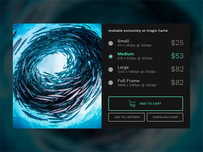 Add to Cart Concept