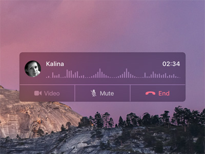 Apple FaceTime HUD Panel Concept
