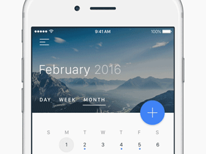 Calendar View: Sketch + Principle