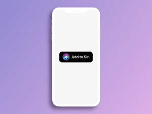 Add to Siri Sketch Library