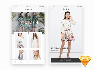 Zara Lookbook Gallery Freebie