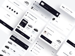 Ridesharing App UI Components