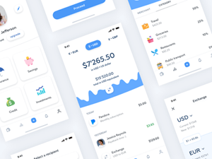 Banking App Concept