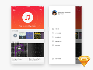 iOS Music Identifier