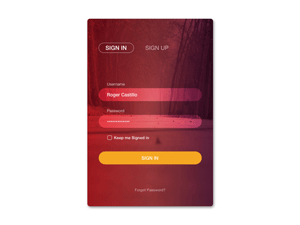 Login Form Screen