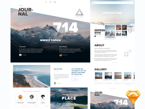 Wild_ Full Website Template for Sketch