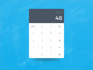 Calculator UI Widget