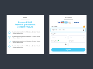 Credit Card Checkout