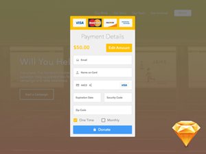 Proper Charity Donation Forms