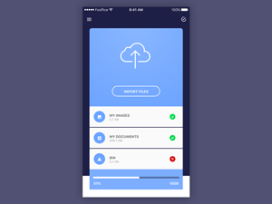 File Import Screen