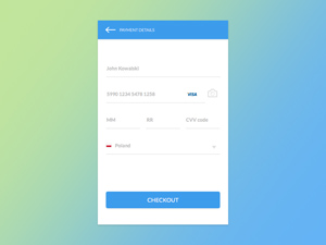 Credit Card Checkout Concept