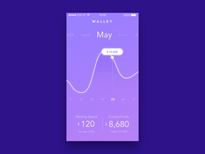Wallet App Concept