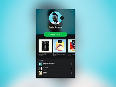 Spotify Profile