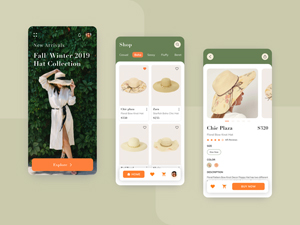 Fashionista App Concept