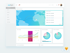 Flight Report Dashboard