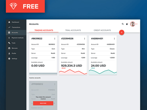 Account Page Concept