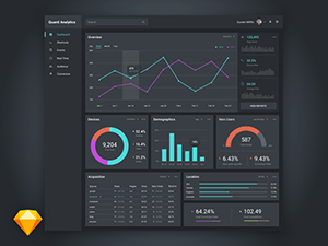 Dark & Light Data Visualization UI Kit