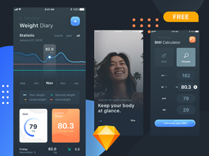 BMI Calculator UI