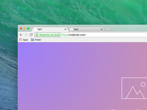 Google Chrome Browser Window