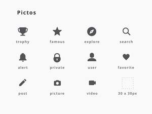 Pictor Icon Set