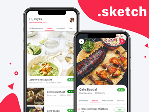 Food Delivery App Concept