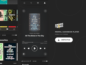 Minimal Audiobook Player – Night Mode