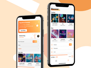 Music Stream App Concept