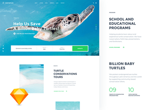 NGO Website Template