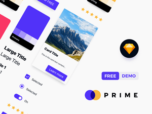 Prime Design System Sample