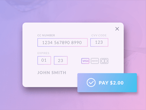 Credit Card Checkout