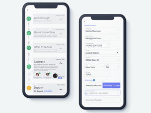 Realtor App Buying Process
