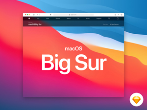 Safari 14 Mockup from macOS Big Sur