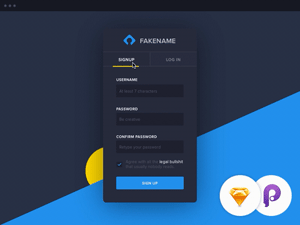 Sign Up / Log In UI