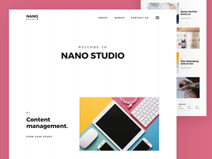 Agency Website
