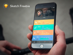 Fitness App Concept