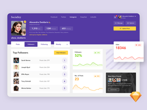 Social Dashboard Concept