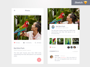 Travel Journal App Concept