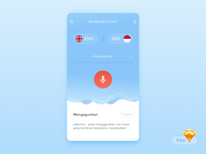 Vocabulary Coach Translator App