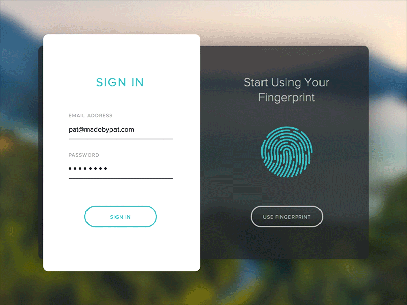 Fingerprint Sign In (Sktech + Principle)