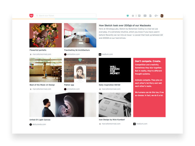 Pocket Website Concept
