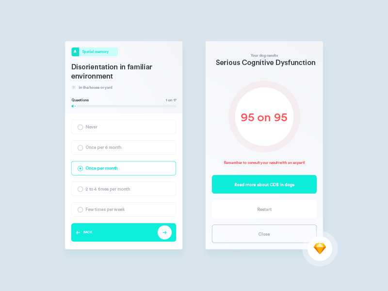 Cognitive Dysfunction Syndrome App Concept