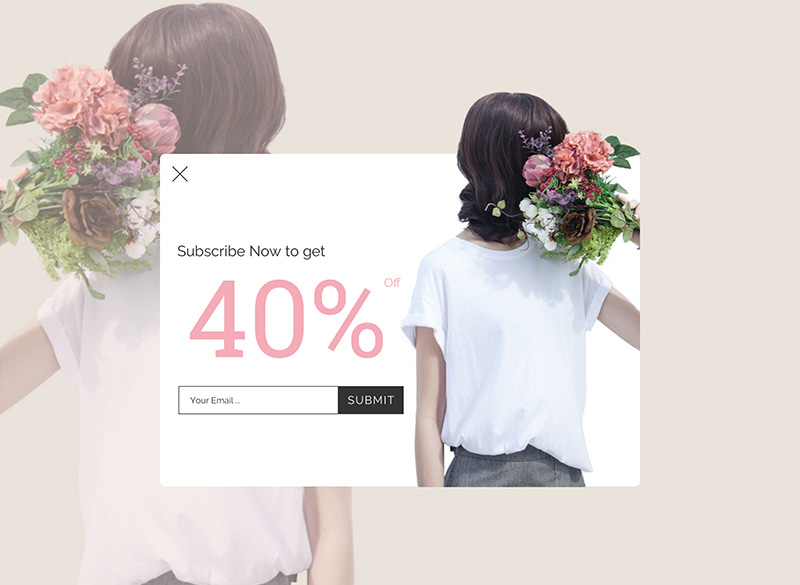 Subscription Modal Form
